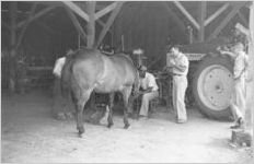 African American man and men with horse in barn