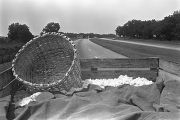 Thumbnail for Trailer full of cotton being pulled by a tractor down a paved road near Mount Meigs in Montgomery County, Alabama.