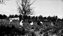 Garden, Industrial school of Virginia Randolph's. Children working in the garden