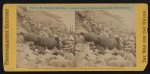 View of Ft. Sumpter (i.e. Sumter), showing a mingled mass of debris, shot, shell &amp; bursted gun