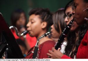 Orchestra Members Performing