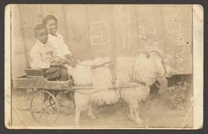 Photograph of a Two African American Individuals on a Goat Pulled Cart