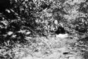 Unidentified man sitting in the bushes. - Wayah Bald