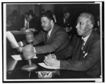 Negro leaders testify