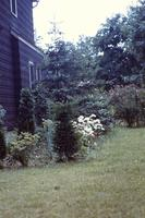 Suburban home trees and flowers