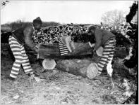 Convicts sawing wood