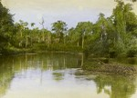 Enyong Creek, Calabar, Nigeria, ca. 1930-1940