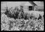 [Untitled photo, possibly related to: Corn shucking on Uncle Henry Garrett's place, Negro tenant of Mr. Fred Wilkins. White women don't go to Negro shucking to help with the cooking but whites are fed by Negro women just the same as at other shucking week previous at Mr. Fred Wilkins' home. Tally Ho, near Stem, Granville County, North Carolina]