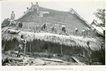 Thatching with palm - leaf (bamboo) mats