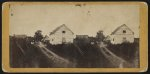 Street and Negro quarters, Retreat Plantation, Port Royal Island, S.C.