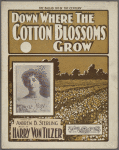 Down where the cotton blossoms grow