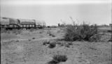 Argentina, train loaded with alfalfa at Río Colorado