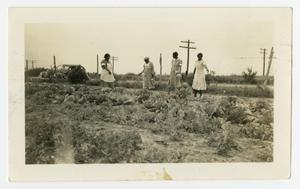 Women in a Field of Crops