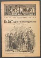 The boy tramps, or, Life among the gipsies