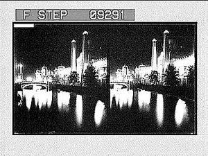 The World's Fair at Midnight. [Active no. 1529 stereoscopic photonegative]