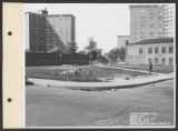 Addams Park (0262) Features - Spray pools and swimming pools, construction of, 1967-08-31