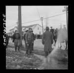 Detroit, Michigan. Rioting at the Sojourner Truth housing project