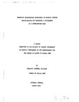 Community organization principles in gaining citizen participation for obtaining a playground in a deteriorated area, 1960
