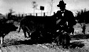 County Superintendent Bura Hilburn with some of his friends. Duroe Jersey Hogs- at (white) Salem Consolidated School. Through the boys pig club he has introduced this breed all over the county