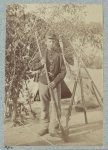 33d New York Infantry