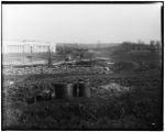 Construction view for the 1904 World's Fair