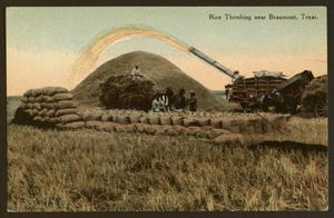 Rice threshing near Beaumont, Texas