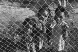 Three little girls behind a chain-link fence at a baseball game, probably in Montgomery, Alabama.