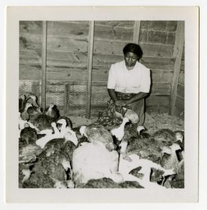 Mrs. Dena Collins with Turkeys