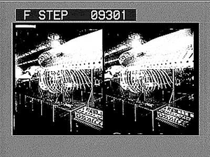 In the belly of a great fish, U.S. Govt. Bldgs. [Caption no. 1539 : glass stereoscopic photonegative]