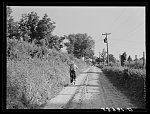 A Negro going fishing in the evening at Lake Providence, Louisiana