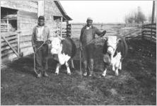 African American men and calves [Slide Farm-7]