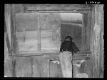 Type of window in Negro sharecropper's cabin. No glass or screen. Transylvania Project, Louisiana