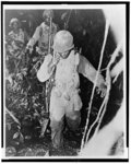 NAACP photographs of African American soldiers in the Army, during World War II