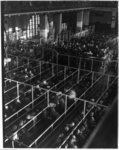 [Emigrants in "pens" at Ellis Island, New York, probably on or near Christmas --note the decorations]