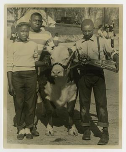 Children and Award-Winning Cow