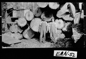 Photograph of workers at the Swainsboro Lumber Company, Swainsboro, Emanuel County, Georgia, ca. 1935