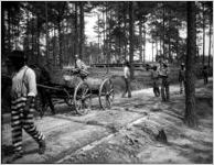 Convicts with horse cart