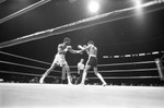 Boxers at the Forum, Los Angles, 1983