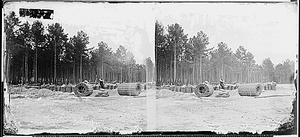 Making gabions, Petersburg, Va