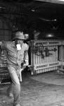 African American man pulling bale of cotton