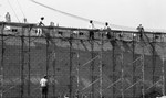 Construction site, Los Angeles, 1990