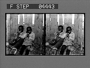 Grinding Cane--a Branch Establishment. [Caption no. 5011 : stereoscopic photonegative.]