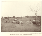 A landscape in the Gambia colony