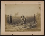 [Military railroad operations in northern Virginia: African American laborers working on rail]