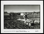 Man Working in a Field with a Tiller