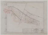 Topography-Negro Area, Pine Spur, 2/17/1940 Drawing No. PKY-BR PS-5361