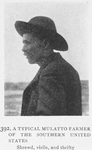 A typical mulatto farmer of the Southern United States; Shrewed, virile, and thrifty