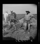 Negro cropper near Lake Dick, Arkansas