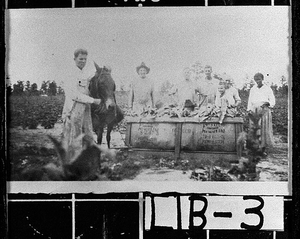 Photograph of workers gathering tobacco leaves, Liberty County, Georgia, 1930