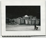 Young boy crouched on ground